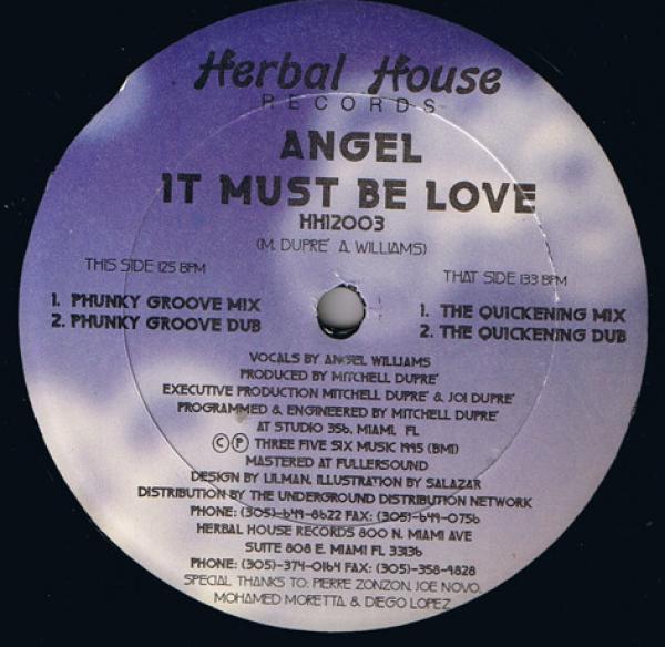 Angel Williams - It Must Be Love