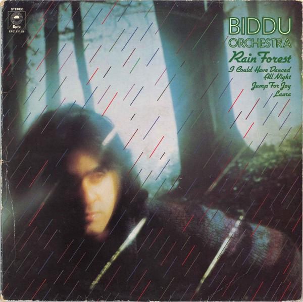 Biddu Orchestra - Rain Forest