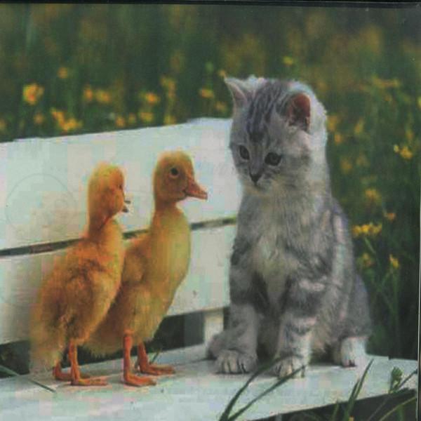  - Disco Duck