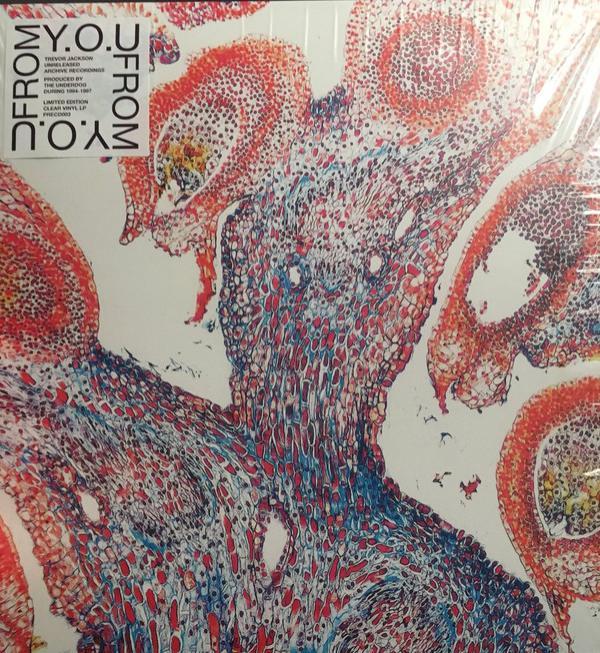 From  - Y​.​O​.​U