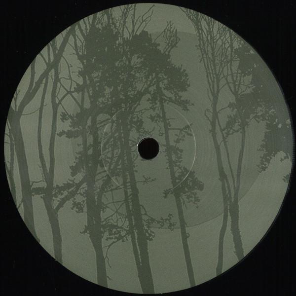 Gareth Cooke, Don Carlos - Dynamik / A Time Coloured