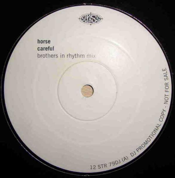 Horse (3) - Careful