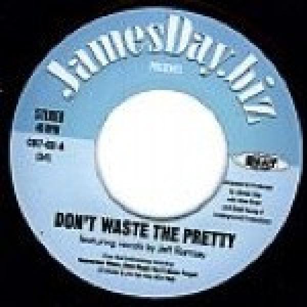 James Day - Don't Waste The Pretty / Remember When