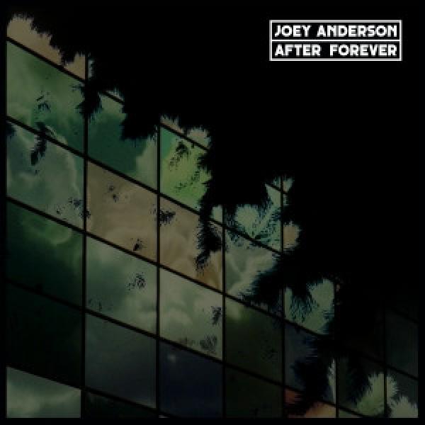 Joey Anderson  - After Forever
