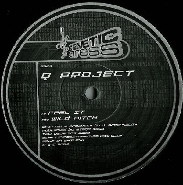 Q Project - Feel It / Wild Pitch