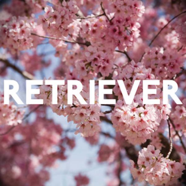 Retriever (2) - Murder / Lion