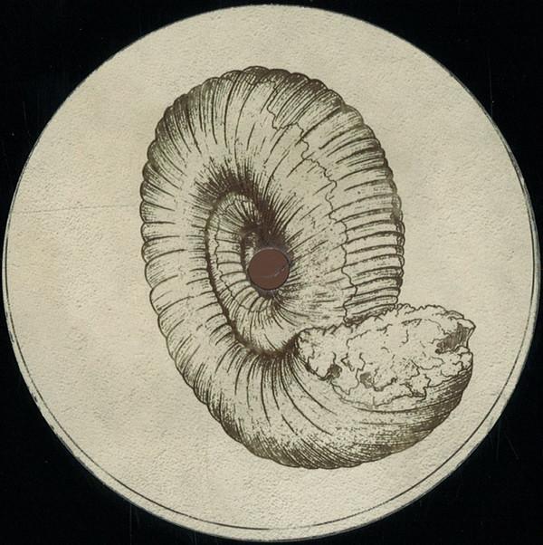 Roberto  - Prolecanites Gurleyi