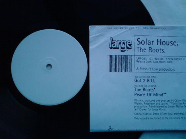 Solar House - The Roots