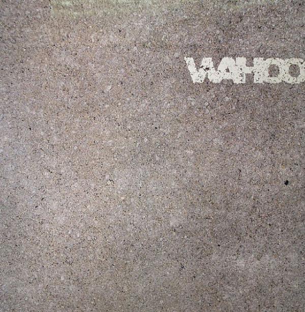 Wahoo - Take Over Me / Make 'Em Shake It